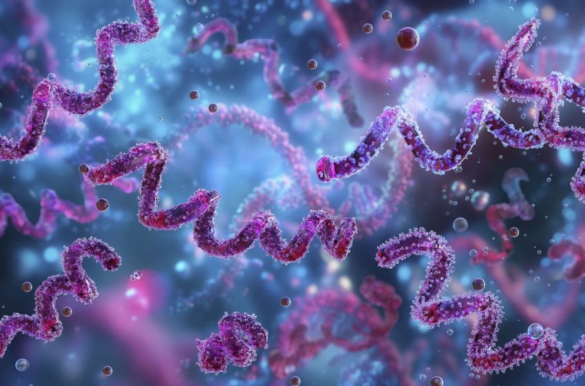  Diagnostic dilemma: 83-year-old man’s unusual form of syphilis had an ‘uncertain’ source