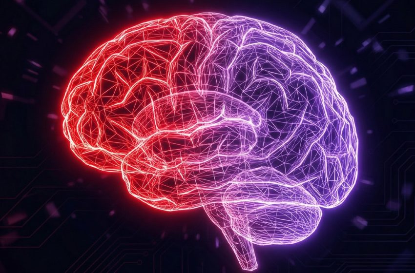  The surprising way the brain’s dopamine-rich reward center adapts as a romance matures