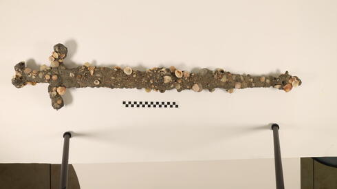  12th-century Crusader sword found off northern Israel beach in rare seabed discovery