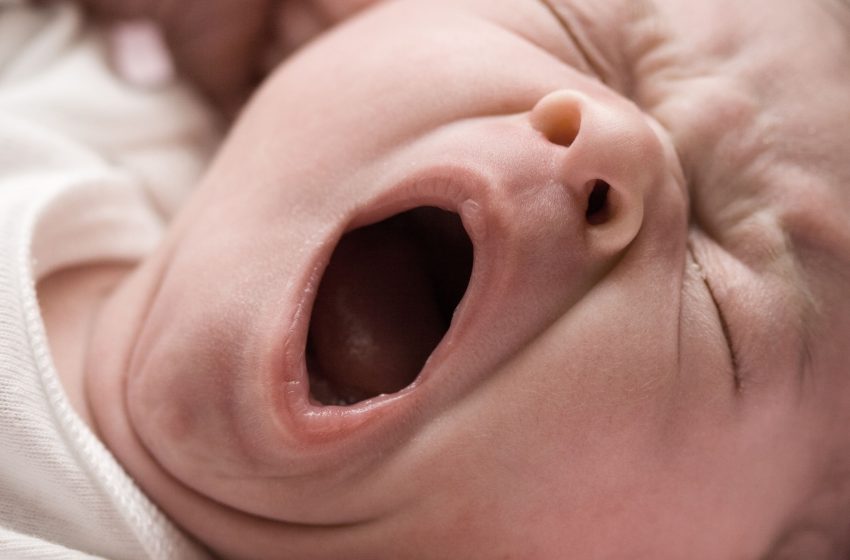  Scientists discover a new function of yawning