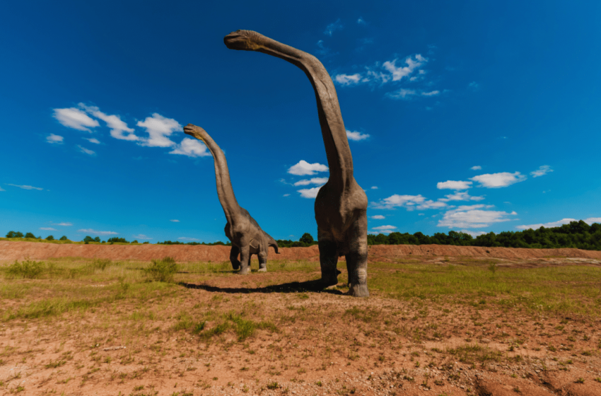  Scientists Discover 120 Million-Year-Old Dinosaur Fossil that Connects Two Continents