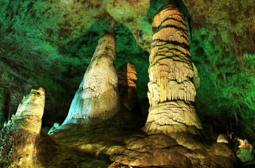  A Hidden World for 49 Million Years