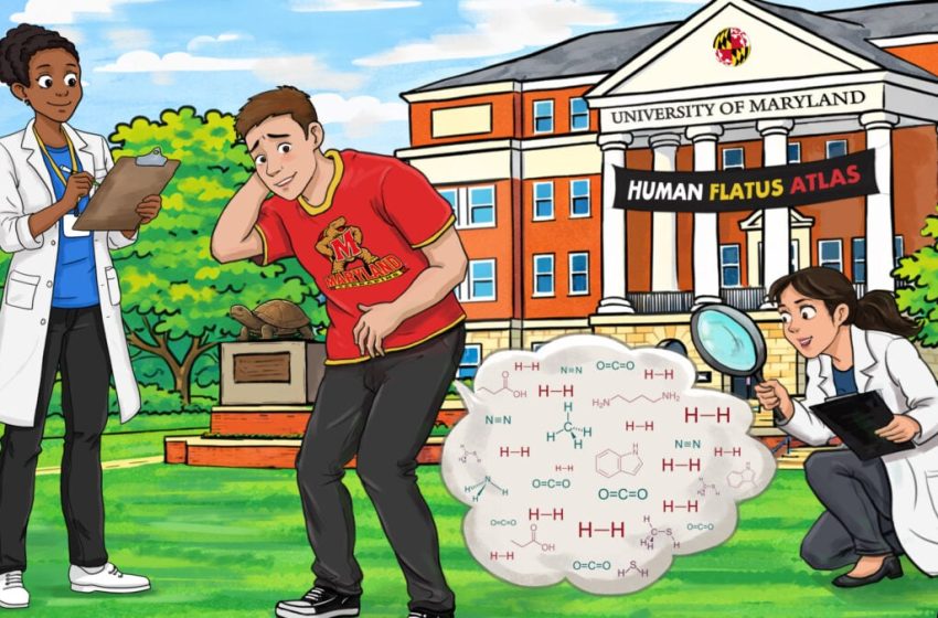  How Many Times Do You Fart a Day? ‘Smart Underwear’ Says It’s Way More Than You Think