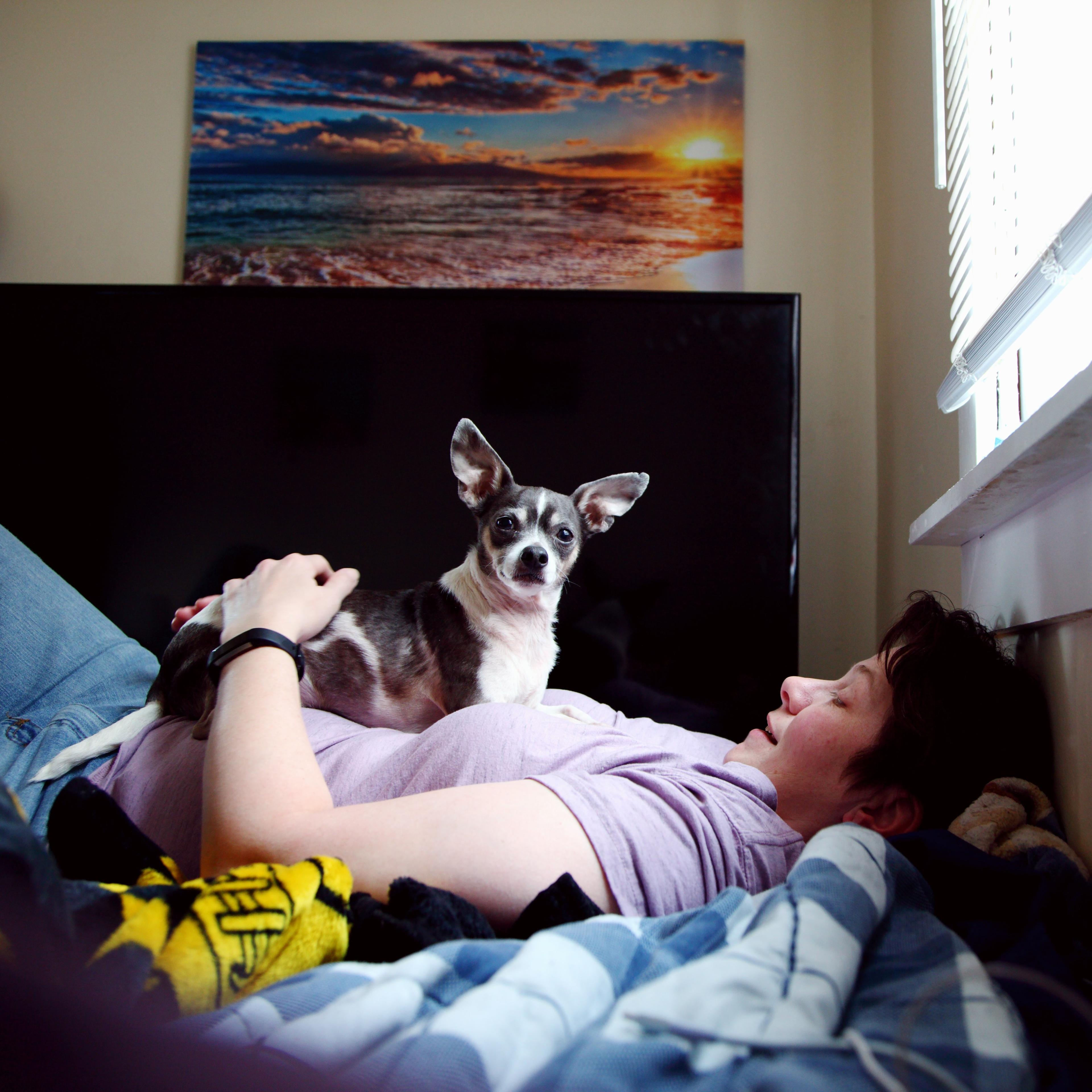 Photo of a person lying on a bed with a small dog on their chest. A sunset picture is mounted on the wall behind them.