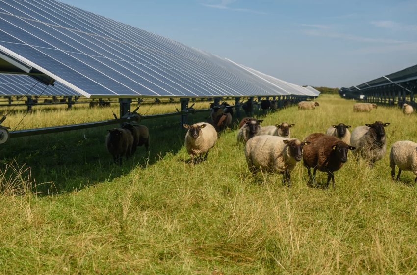  ‘Given me a massive leg up’