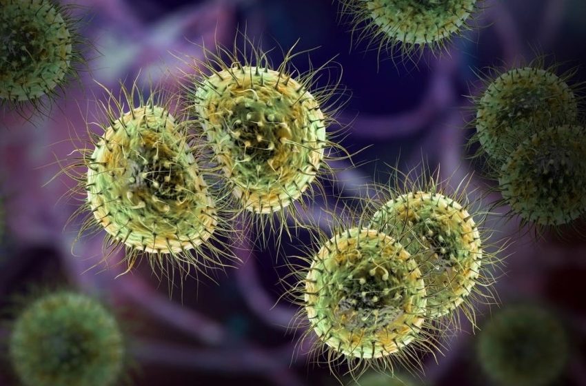  Meningococcal Disease Kills 2 Amid Cluster Of Cases In Chicago: Authorities