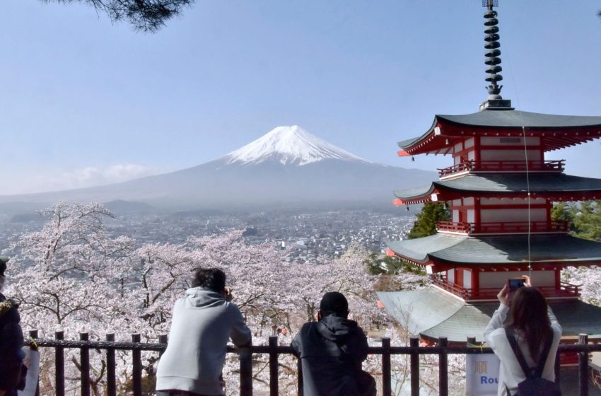  Japanese city cancels cherry blossom festival launched to lure tourists – as it’s too successful | World News