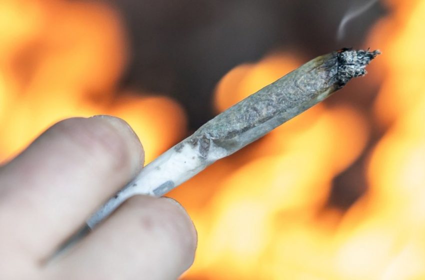  Horrifying simulation shows what happens to your body if you smoke weed every day