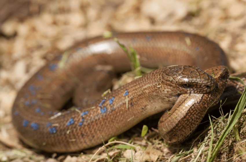  Here’s Why It’s Actually Good for Them