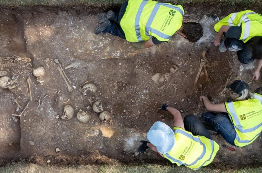  This Viking-Era ‘Execution Pit’ Has Stories to Tell
