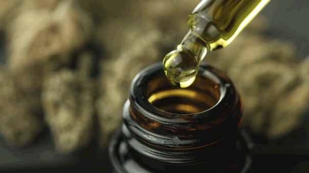  Cannabis compound could prevent Alzheimer’s when paired with anti-inflammatory drug