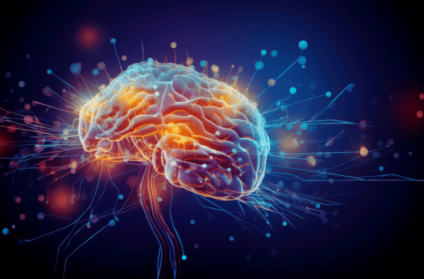  The Brain Has a ‘Drainage Tunnel’ You Never Knew Existed, Now They’ve Found It