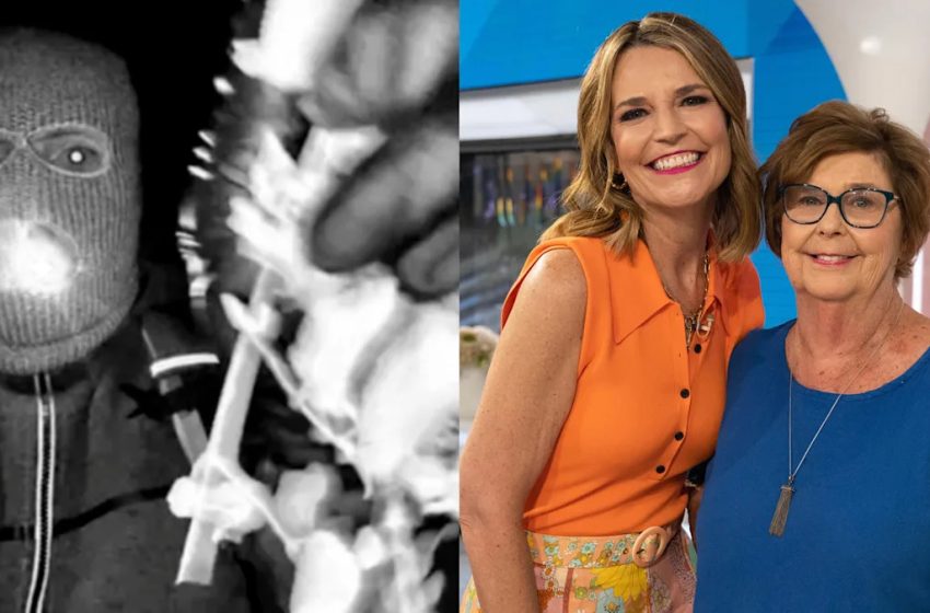  Savannah shares new video offering $1 million reward in search for mom