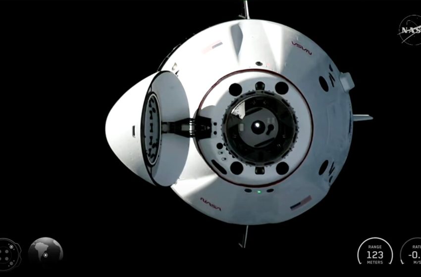  Four people on NASA’S Crew-12 arrive at International Space Station : NPR