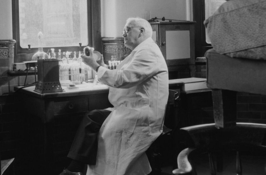  antibiotic-persistence-resistance-bacteria-dormant : Short Wave : NPR