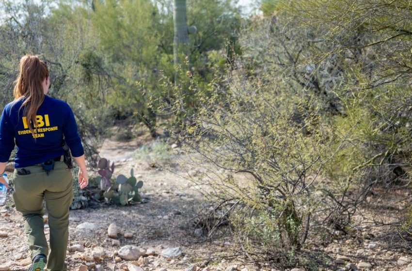  How forensic investigative genetic genealogy might help search : NPR