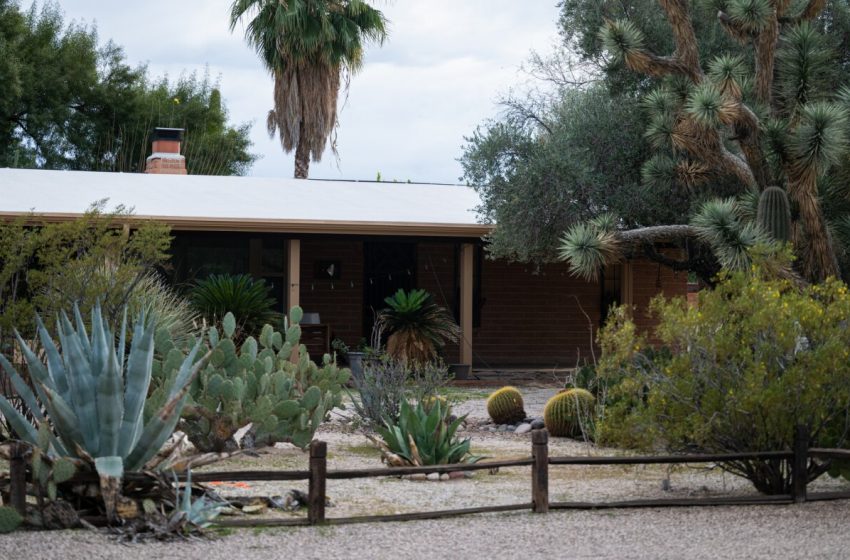  How the use of AI and ‘deepfakes’ play a role in the search for Nancy Guthrie : NPR