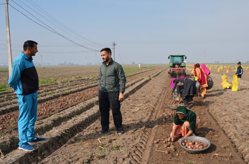  AI boosts efficiency for some in India’s farming and education sectors