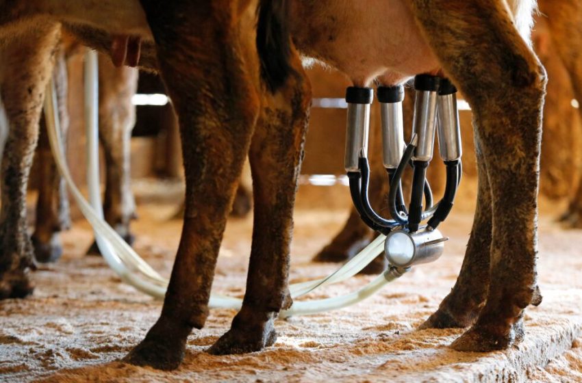  Health officials warn against raw milk after newborn’s death