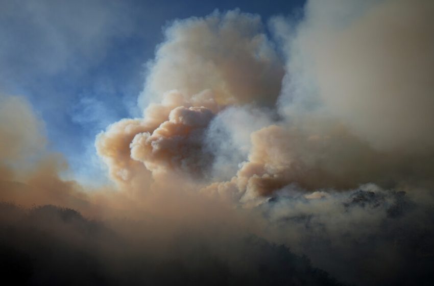  New study reveals deadly impact of wildfire smoke pollution in the US