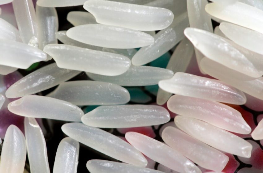  Chill out: How cooling rice, pasta, and potatoes can cut some cravings