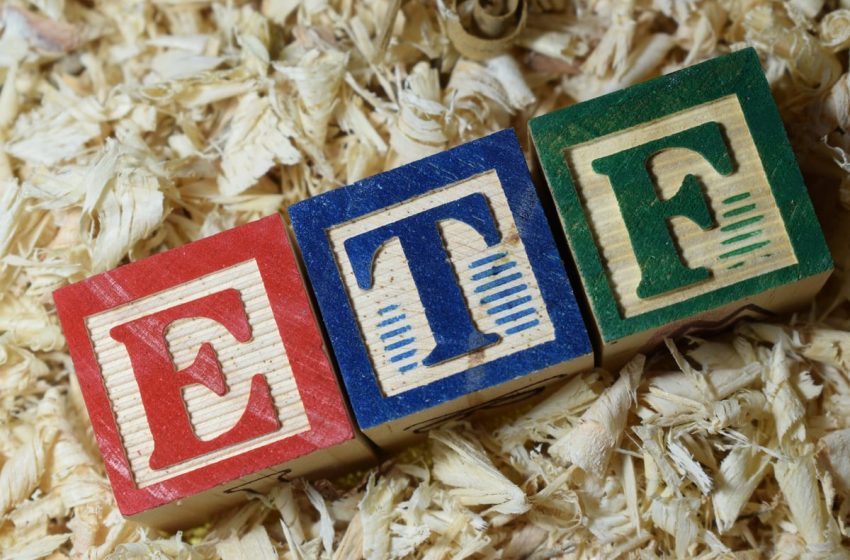  3 Vanguard ETFs to Buy to Protect Your Portfolio from a Potential Stock Market Crash