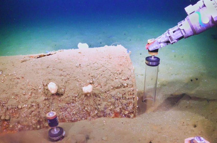  Thousands of barrels of toxic waste are leaking into the ocean