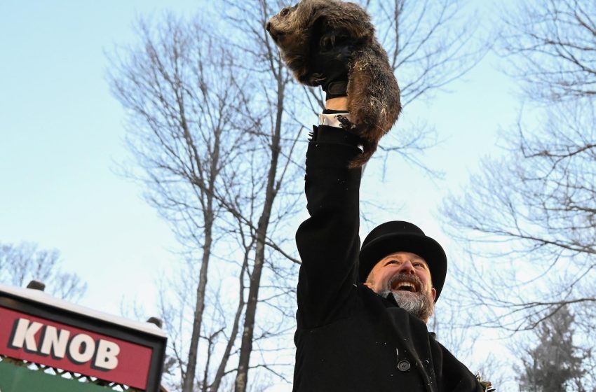  Punxsutawney Phil is said to have seen his shadow, forecasting 6 more weeks of winter