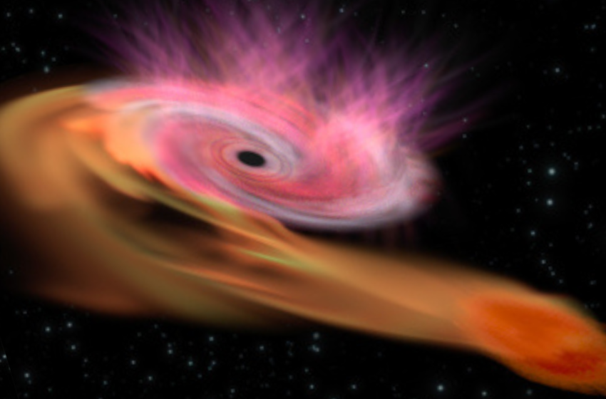  Scientists may have found a ‘missing-link’ black hole ripping up and devouring a star