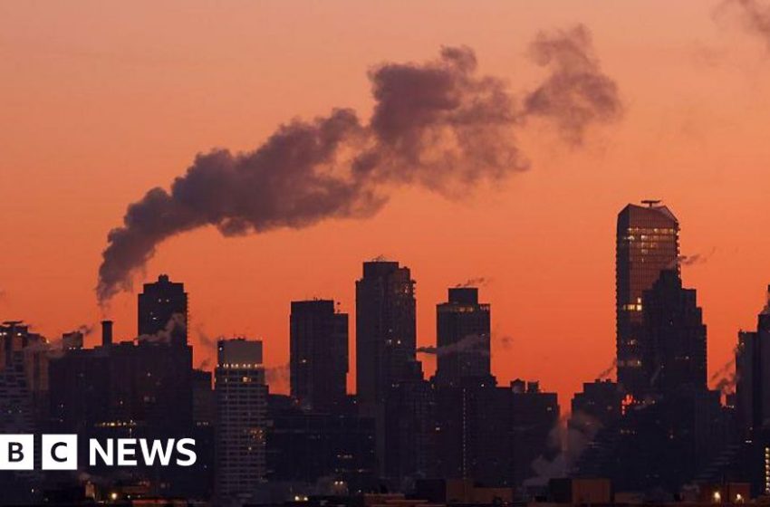  US states sue Trump over his move to scrap greenhouse gases ruling – BBC