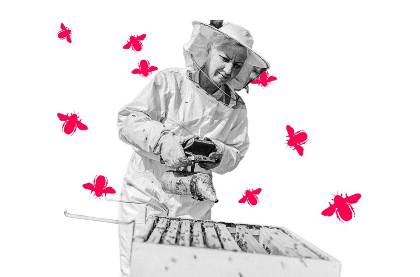  There are certain things you just can’t do in the suburbs. My wife might harm the neighbors.