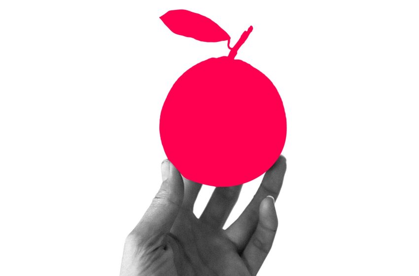  My wife robbed the neighbors for the sake of her book club. It’s about to get a whole lot worse.