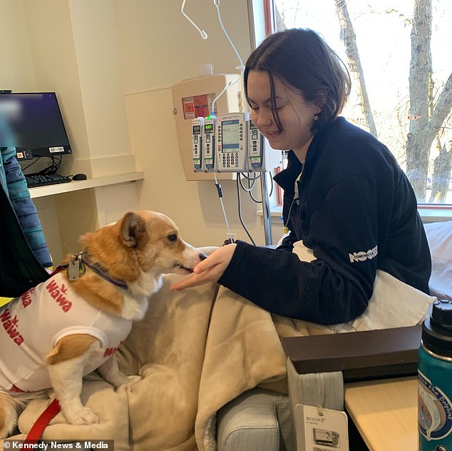 Now, with chemo behind her, Dougherty awaits 20 sessions of radiotherapy focused on her neck