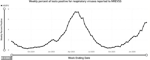 The virus made up more than five percent of positive respiratory tests nationwide during the first week of March, CDC data shows, a significant jump from previous weeks