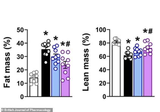 The figures show that mice treated with CBD and CBG lost fat mass and gained lean mass, showing the compounds shifted how the body stores and uses energy even on a high-fat diet