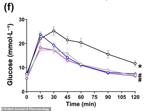 Mice treated with CBD (blue) or CBG (purple) cleared glucose from the bloodstream more efficiently than untreated HFD-fed mice (black and gray)