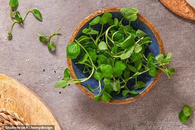  Watercress has been hailed ‘healthiest vegetable in the world’ by health chiefs – experts reveal why… and how to get more of it in your diet