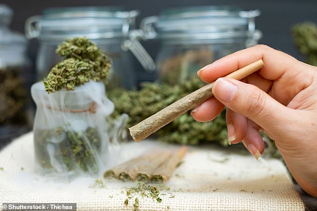  Long-term cannabis use ‘changes brain structure and leaves users demotivated, unable to make decisions and struggling to deal with complex tasks’