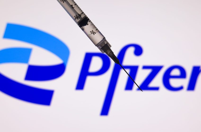  Pfizer Lyme disease vaccine fails trial, company to seek FDA approval