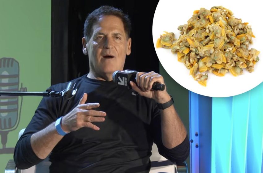  Mark Cuban reveals ‘disgusting’ lunch that packs 25g protein