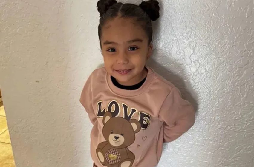  ‘Double Check Your Children’s Toys’