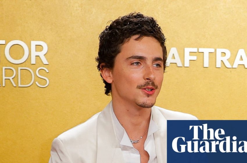  Et tutu, Timothée? Backlash mounts over Chalamet snipes at opera and ballet | Timothée Chalamet