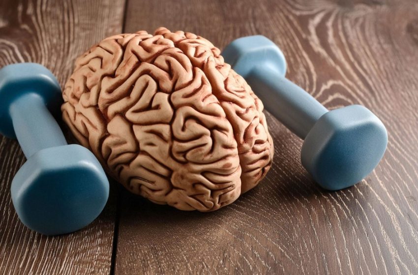  This May Explain How Exercise Protects Aging Brains