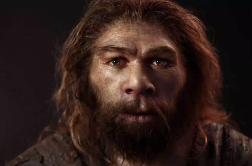  Neanderthal men may have chosen human women more often, reshaping human history: DNA study suggests |