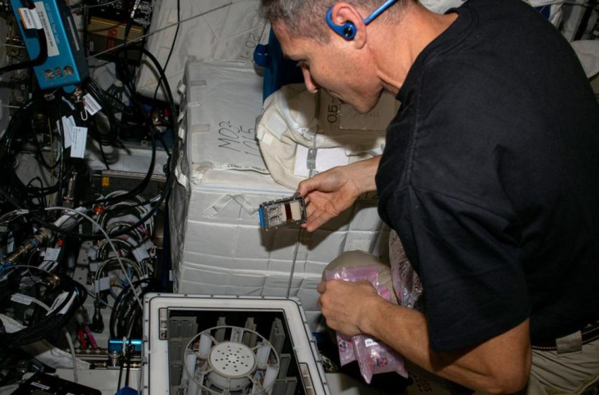 Scientists Successfully Mine Meteorites for Precious Metals on International Space Station