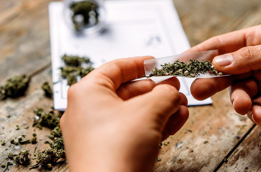  Compounds found in cannabis reduced liver fat in new study