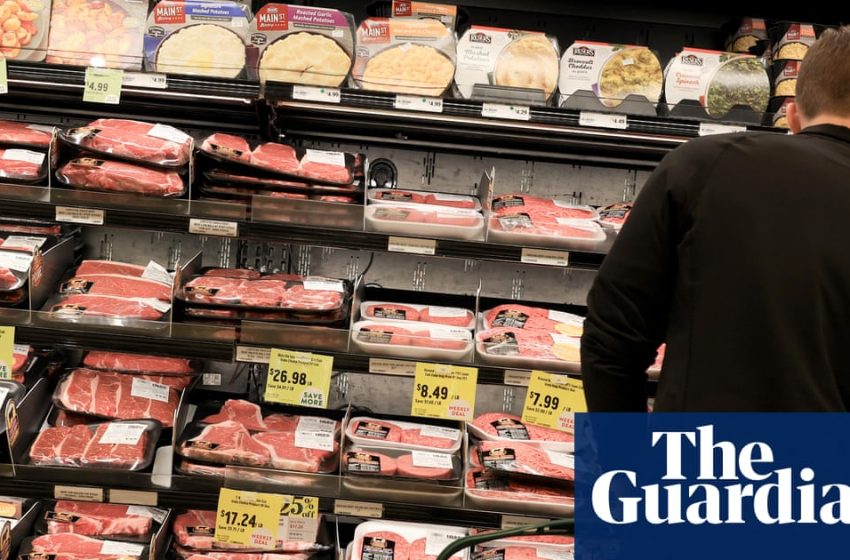  ‘Everything is going up’: Americans struggle with affordability despite Trump’s claims | Business