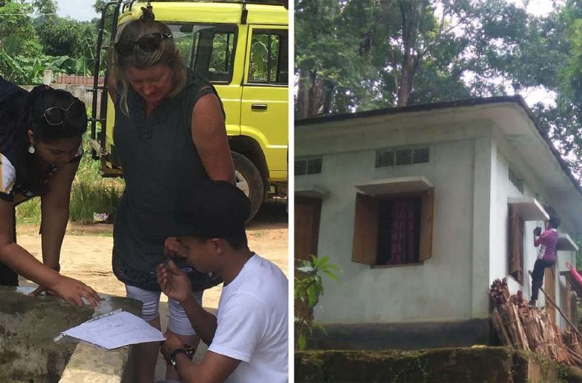  DNA from a tiny but mighty insect could help reveal the timeline for prehistoric humans