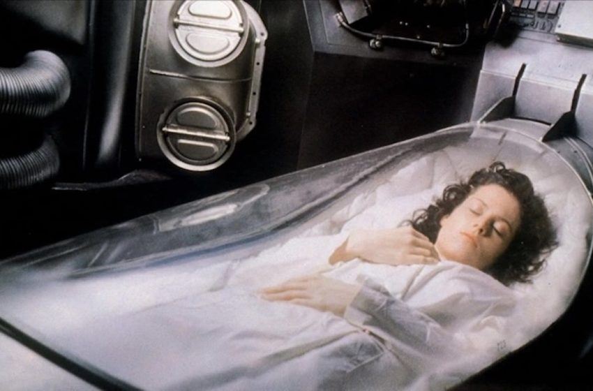  Scientists revive activity in frozen mouse brains for the first time