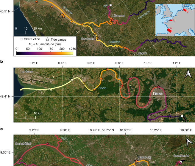  Observing the tidal pulse of rivers from wide-swath satellite altimetry